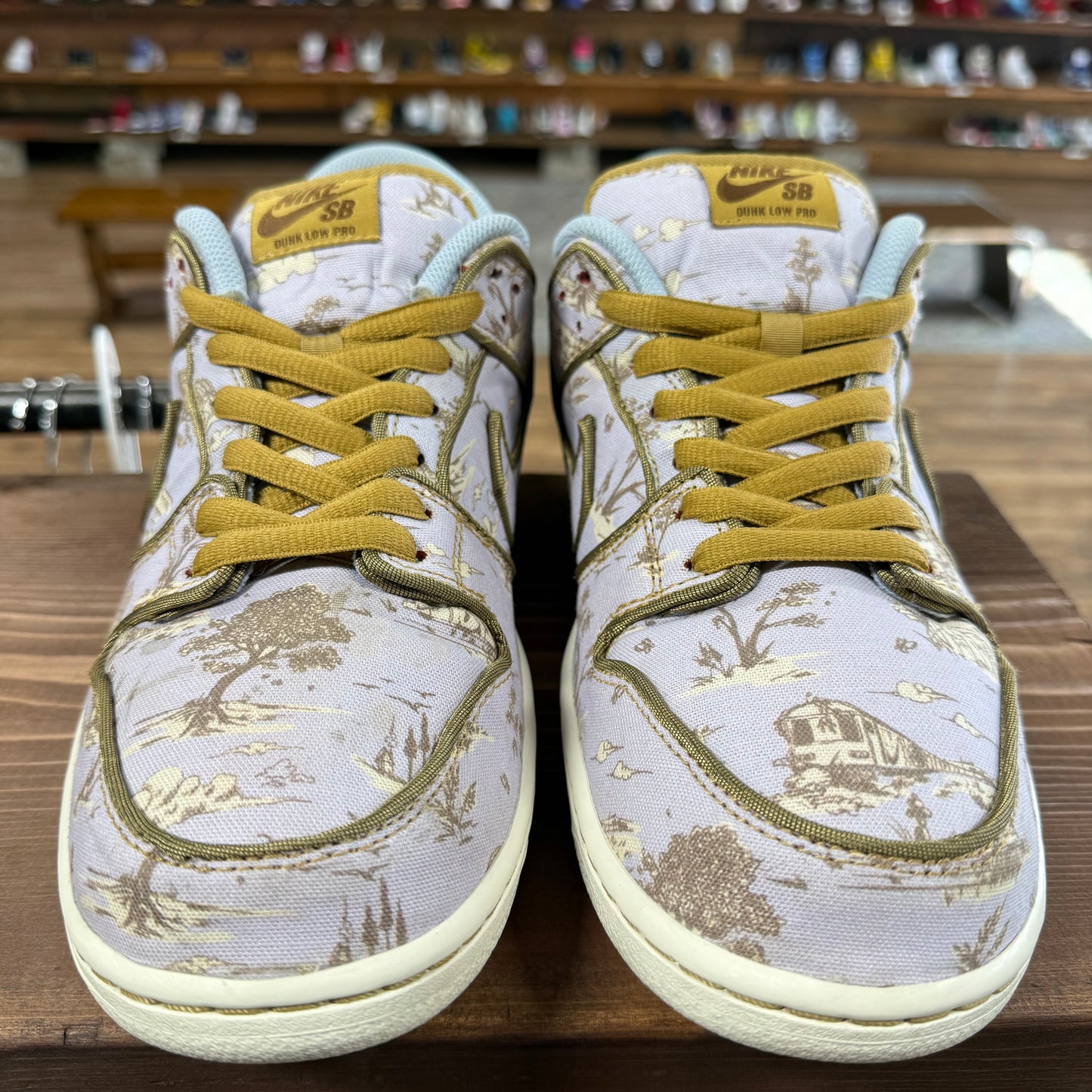 Nike SB Dunk Low 'City of Style' Size 11