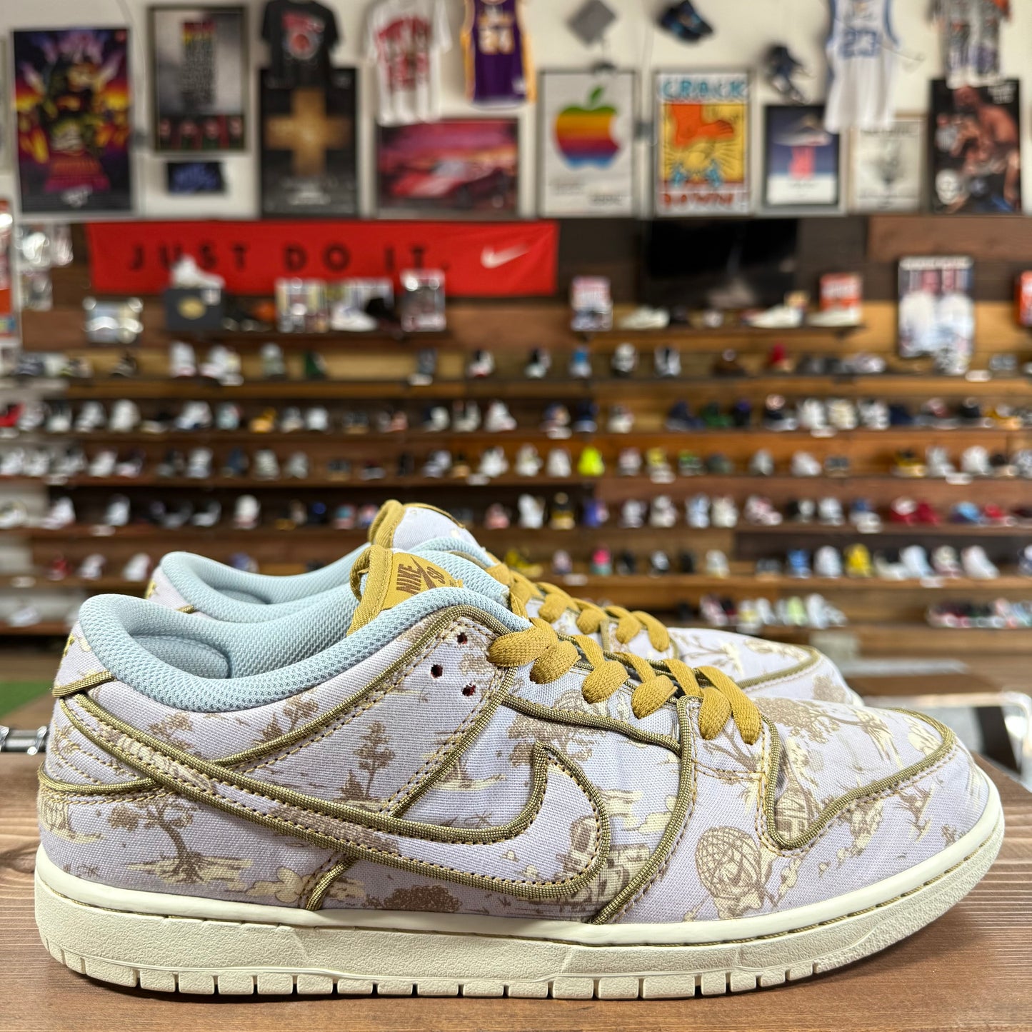 Nike SB Dunk Low 'City of Style' Size 11