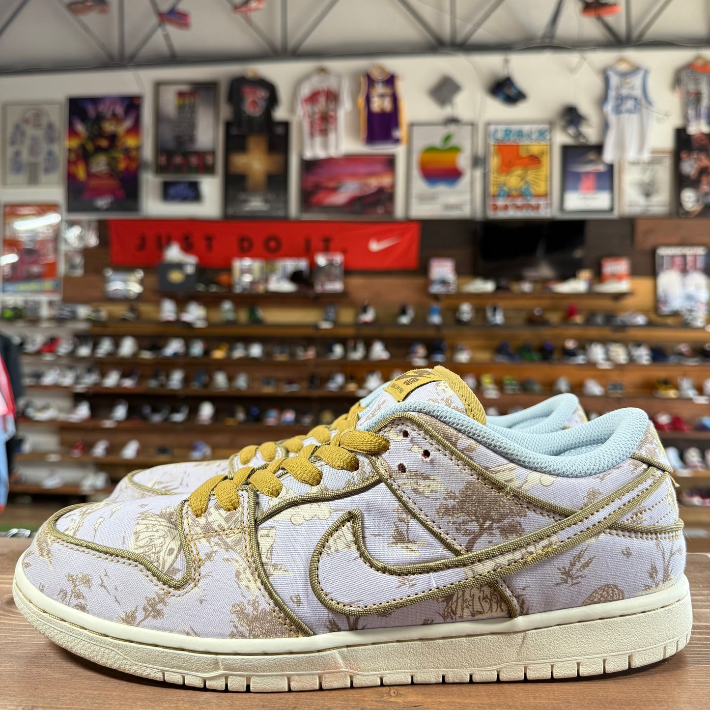 Nike SB Dunk Low 'City of Style' Size 11