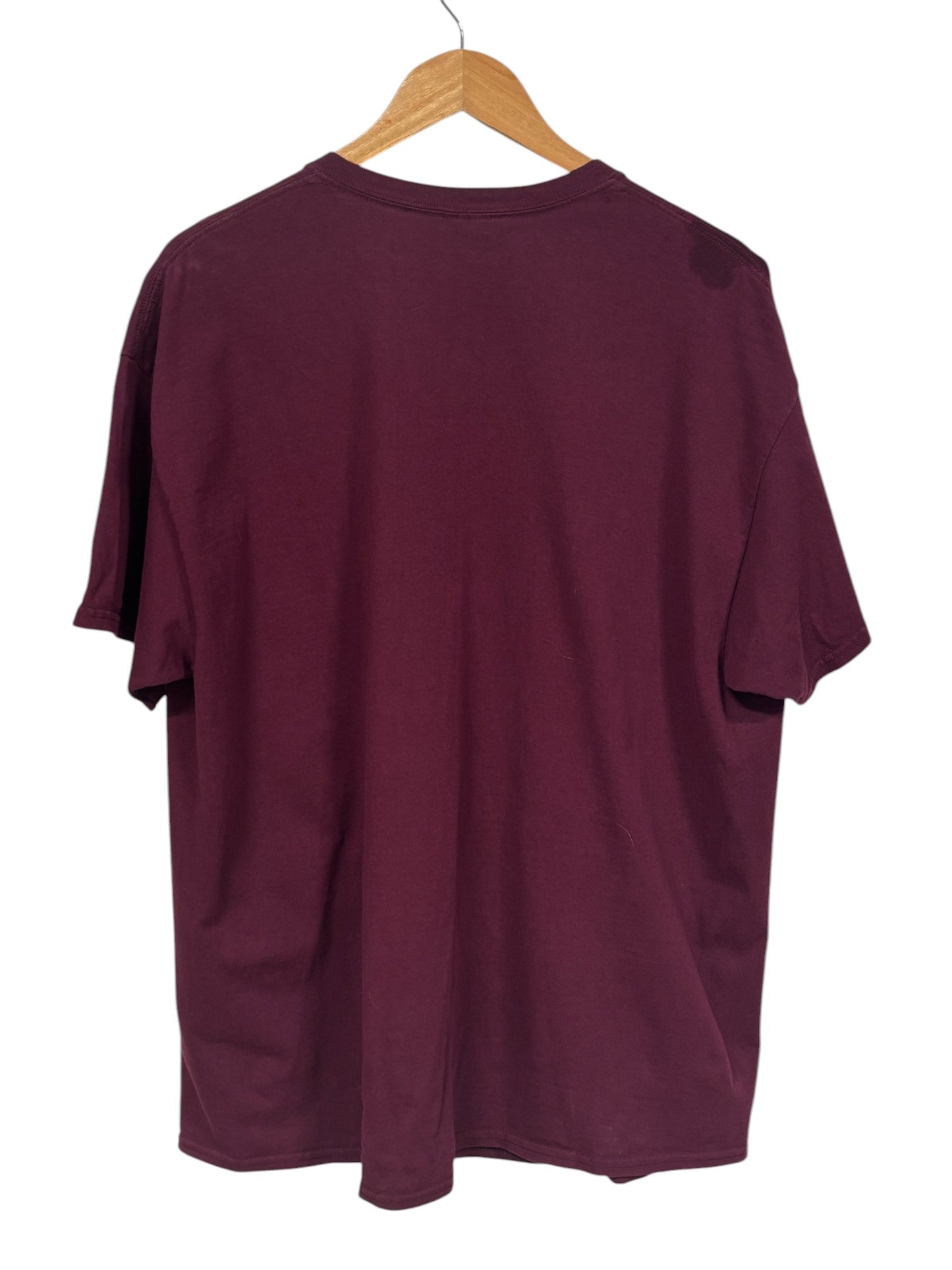 Vintage 00's University of Montana Grizzlies Griz Country Tee Size XL
