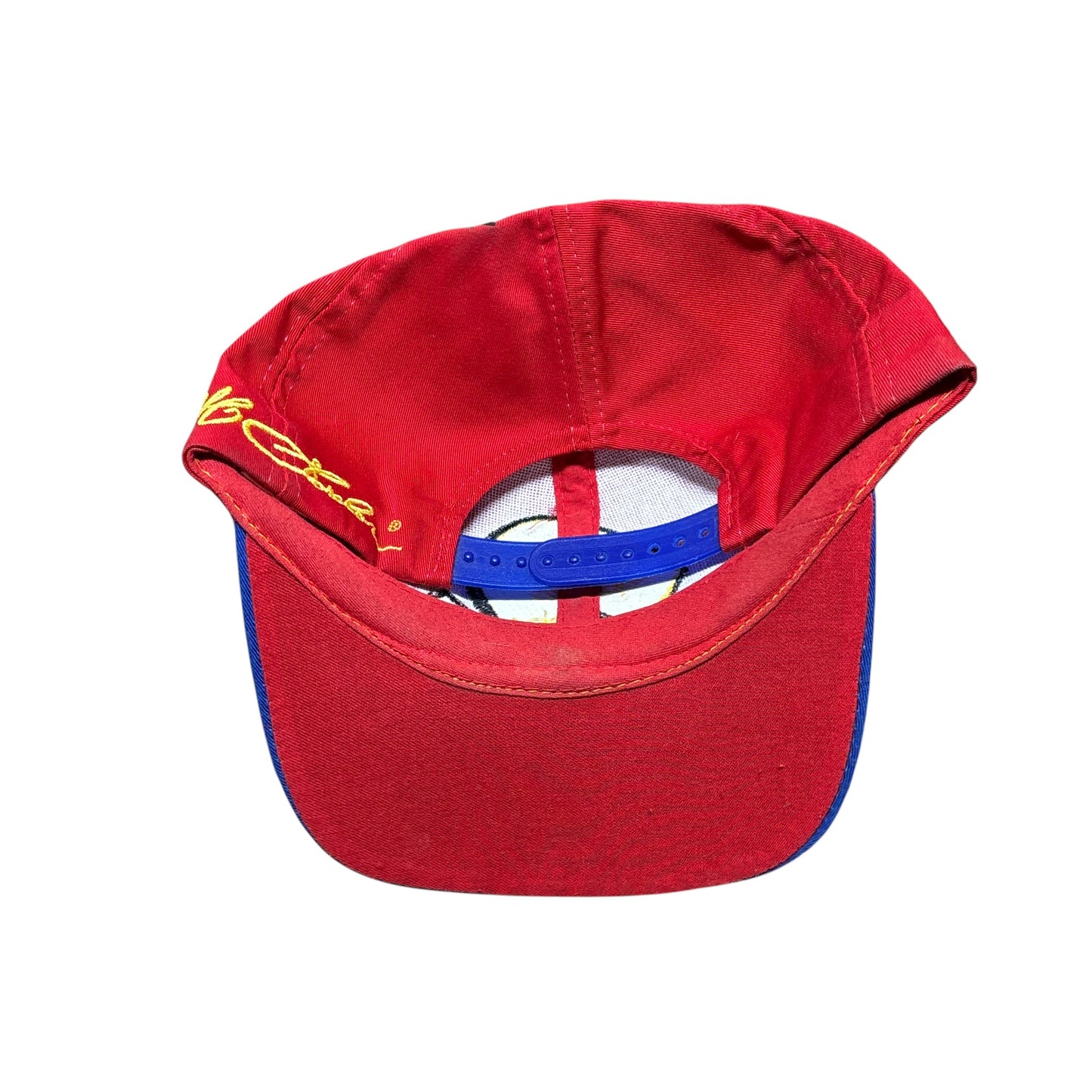 Vintage 90's Jeff Gordon NASCAR 24 Racing Snapback Hat