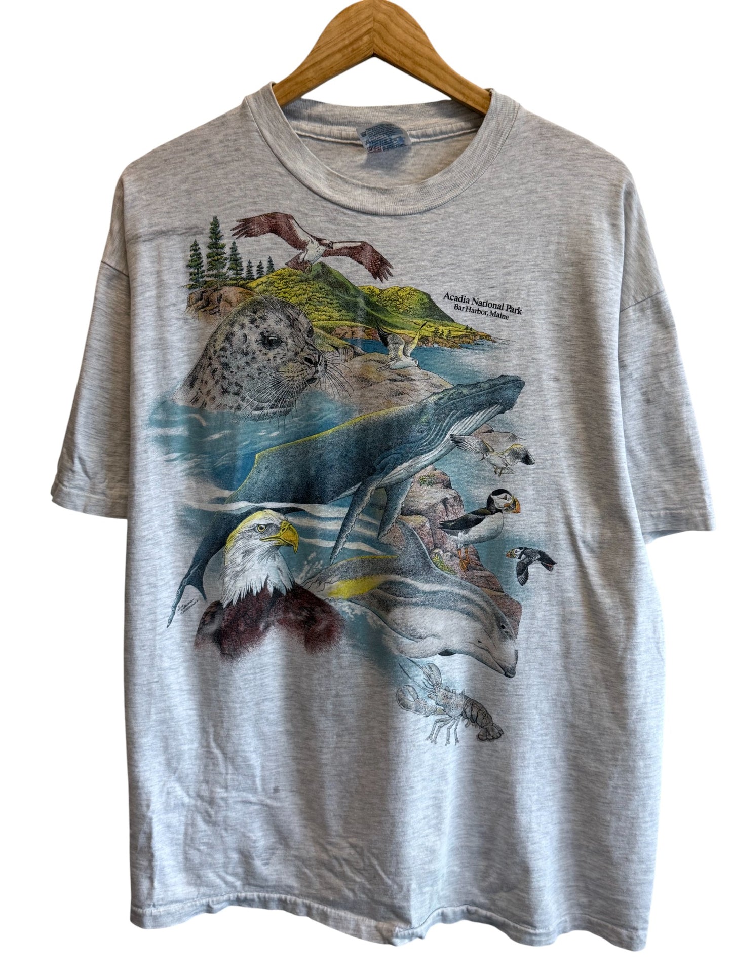 Vintage 90's Acadia National Park Nature Graphic Tee Size Large