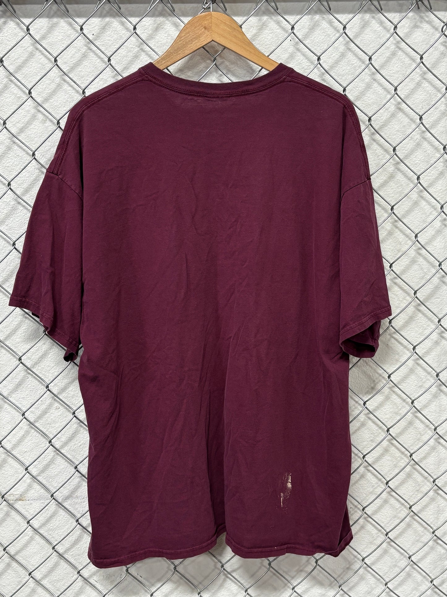 Vintage Y2K University of Montana Grizzlies Tee Size XL