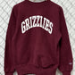 Vintage 90's University of Montana Grizzlies Reverse Weave Sweater Size Small