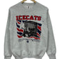 Vintage 1995 University of Arizona Icecats Hockey Crewneck Sweater Size Small