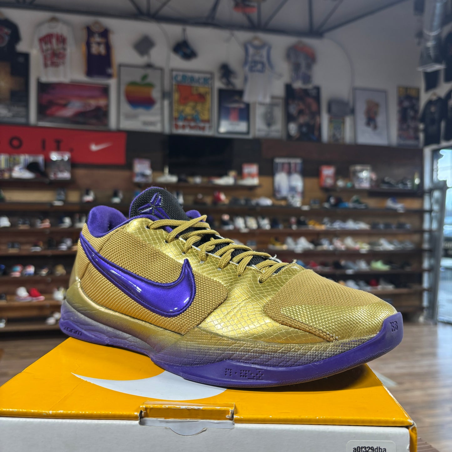 Nike Kobe 5 Protro 'Hall of Fame' Size 10