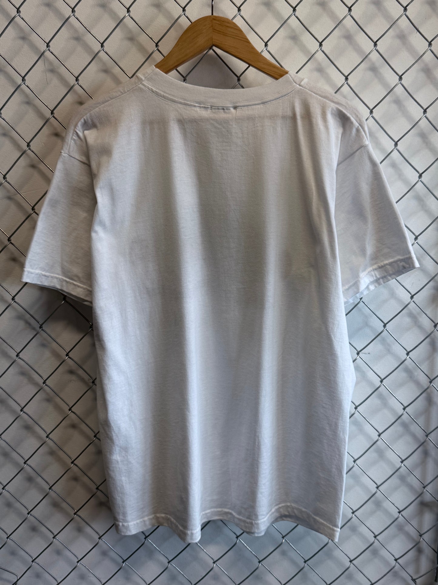 Vintage 90's Chattanooga Tennessee Nature Graphic Tee Size XL
