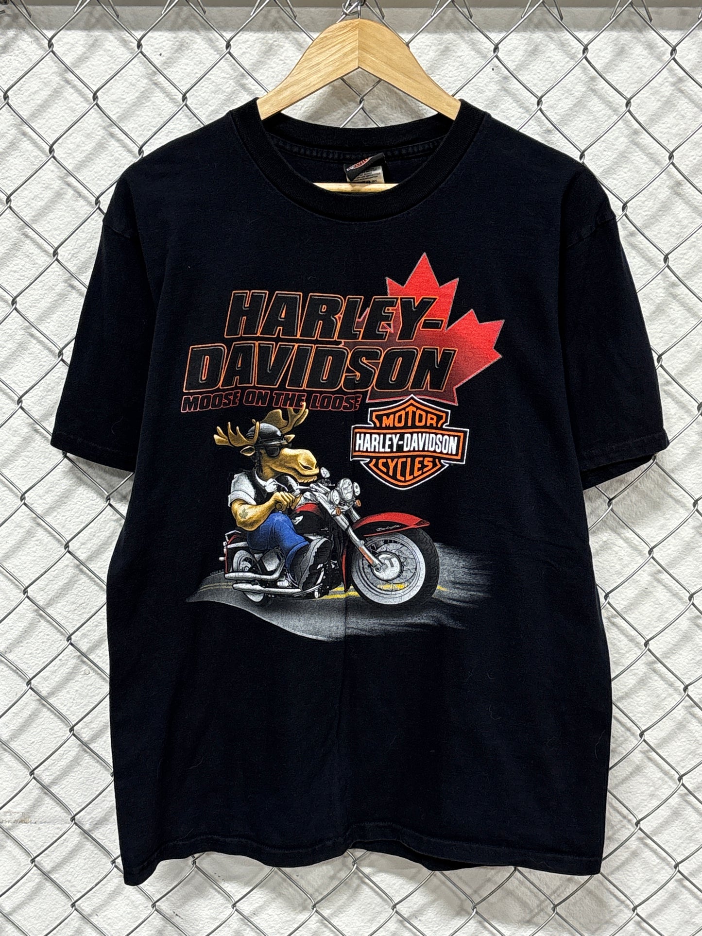 Harley Davidson Moose on the Loose Canada Biker Graphic Tee Size Large