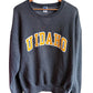Vintage 90's Russell Athletic U Idaho College Crewneck Sweater Size Large