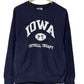 Vintage 90's University of Iowa Physical Therapy Sweater Size Large
