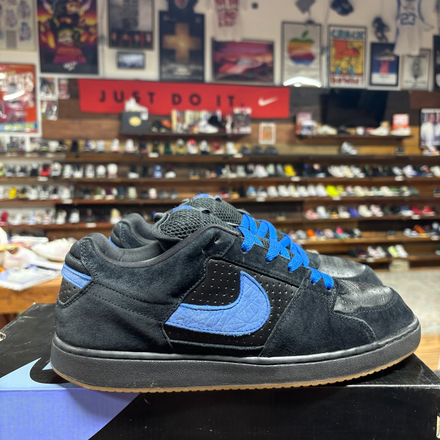 Nike SB Team Dunk Low 'Royal Blue' Size 11