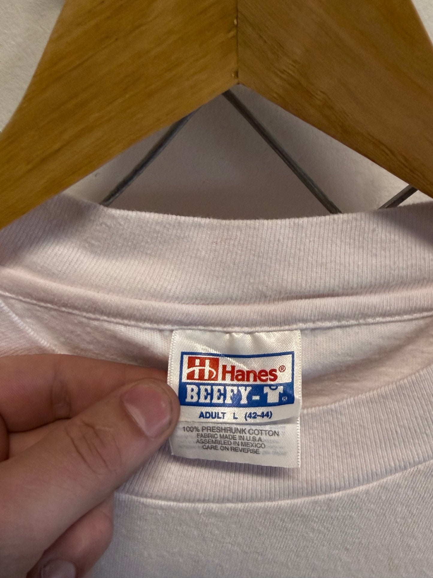 Vintage University of Illinois Department of Natural Resources Tee Size Large