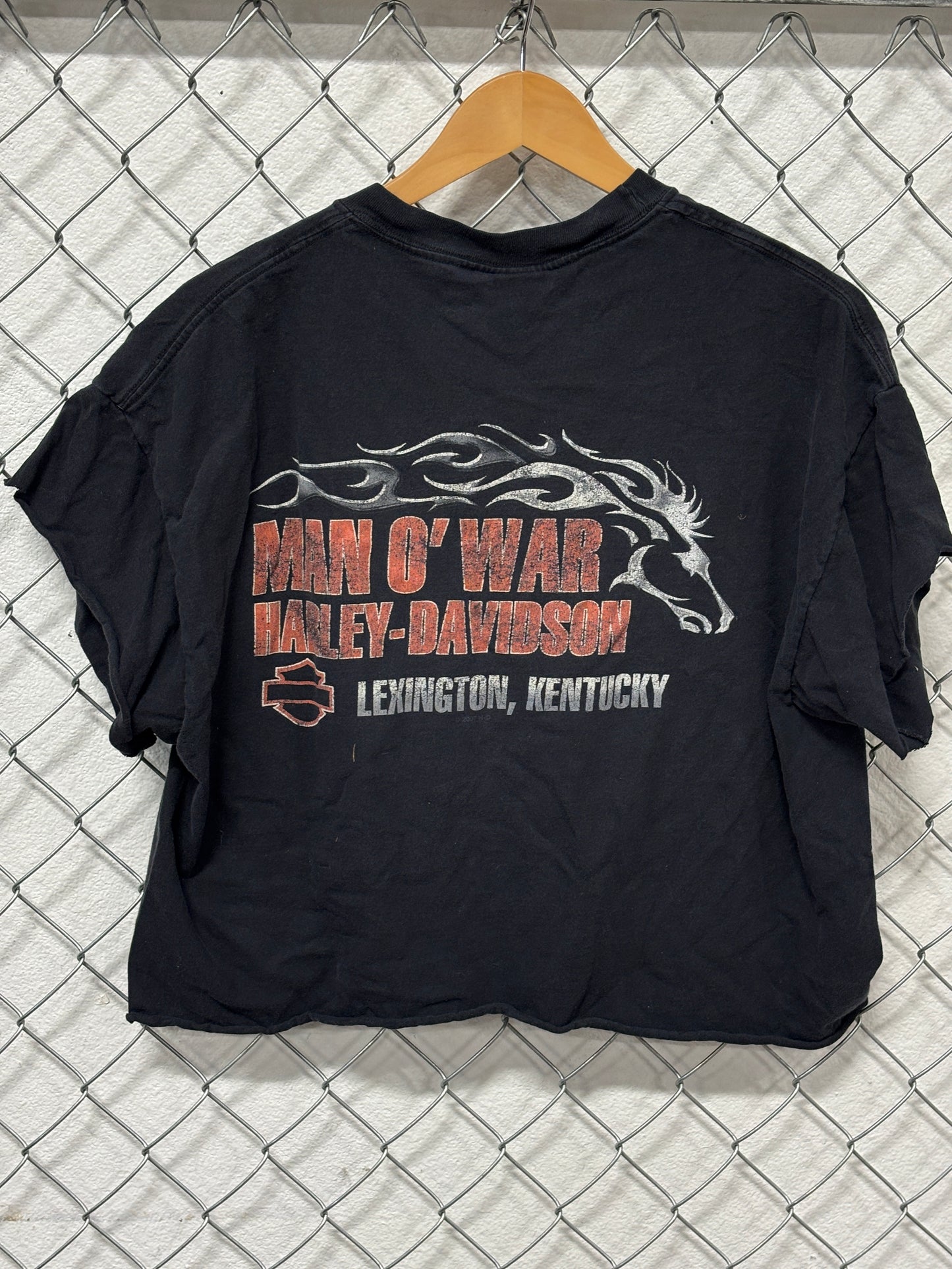 Vintage Harley Davidson Cropped Distressed Black Biker Tee Size XL