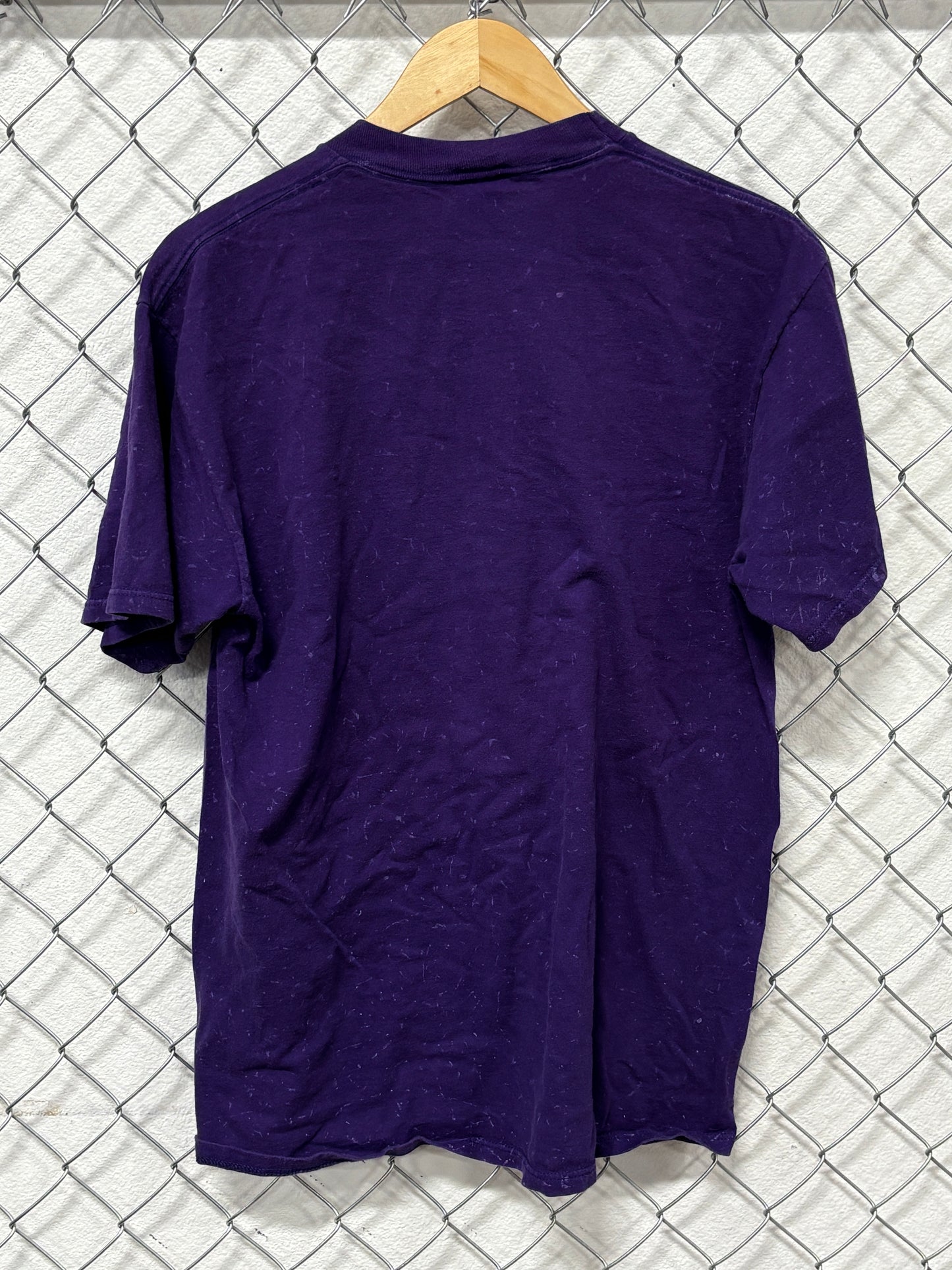 Vintage 90's Montana Big Sky Purple Nature Tee Size Large