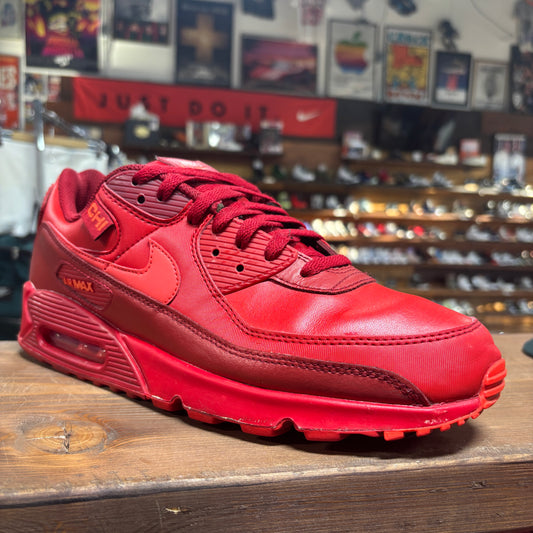 Nike Air Max 90 'City Special Chicago' Size 11.5