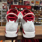 Jordan 6 'Alternate' Size 9