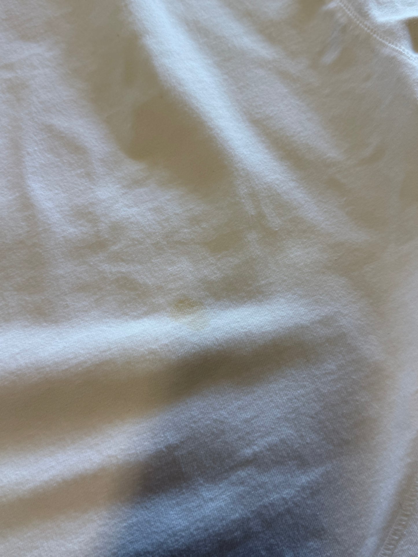 Vintage Y2K Small Spell Out Nike White Tee Size XL