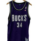 Vintage 90's Champion Ray Allen Bucks Jersey #34 Size Large