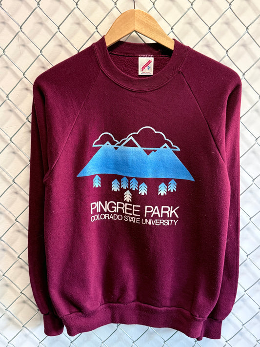Vintage 90's Pingree Park Colorado State University Sweater Size Medium
