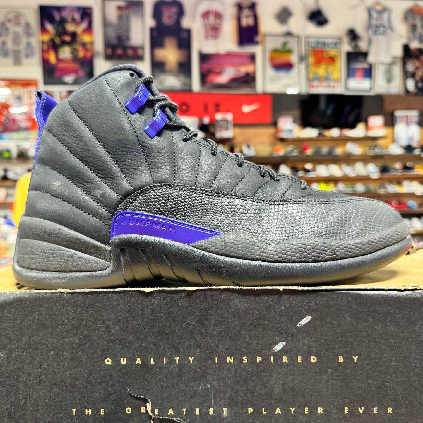 Jordan 12 'Dark Concord' Size 10