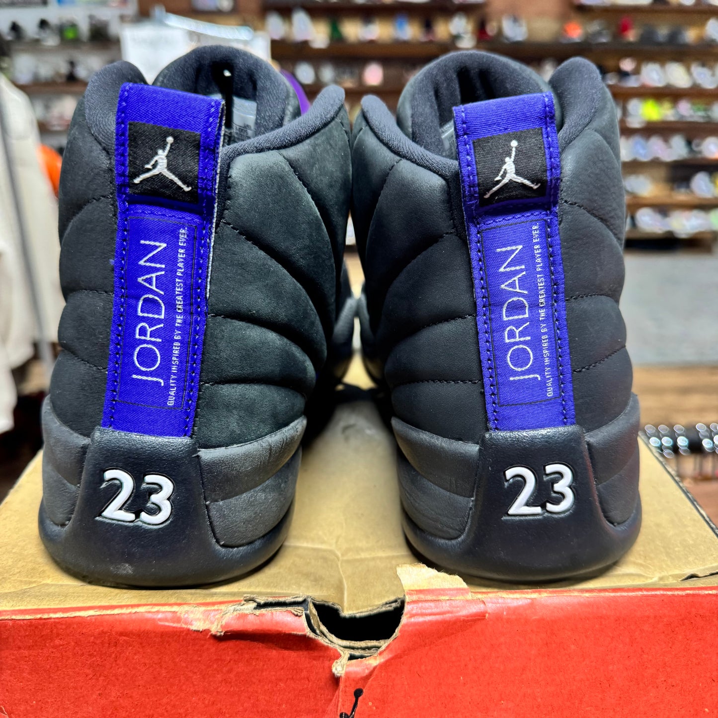 Jordan 12 'Dark Concord' Size 10