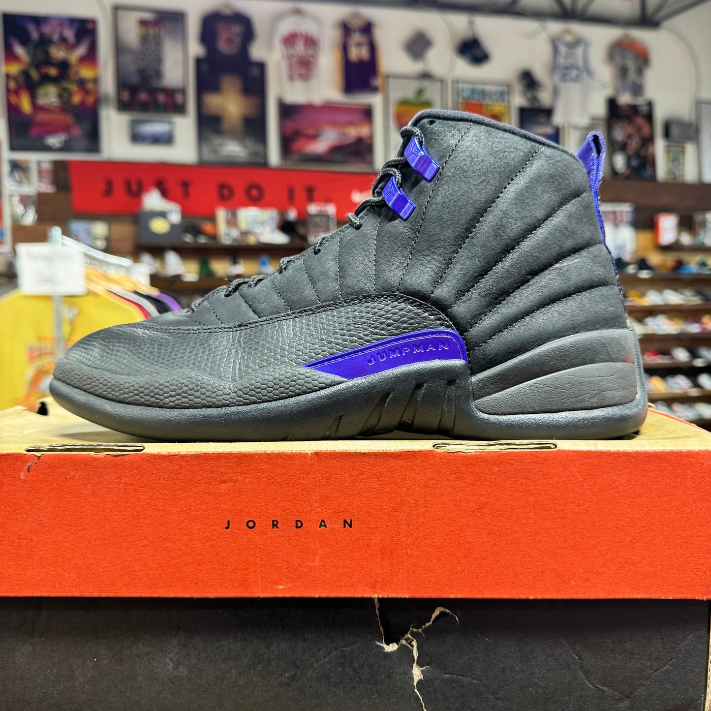 Jordan 12 'Dark Concord' Size 10