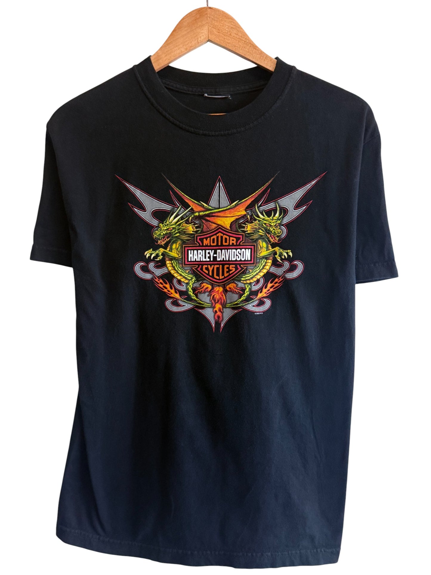 Harley Davidson St. Paul Minnesota Biker Graphic Tee Size Large