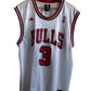 Vintage Adidas Ben Wallace Chicago Bulls #3 Jersey Size Large