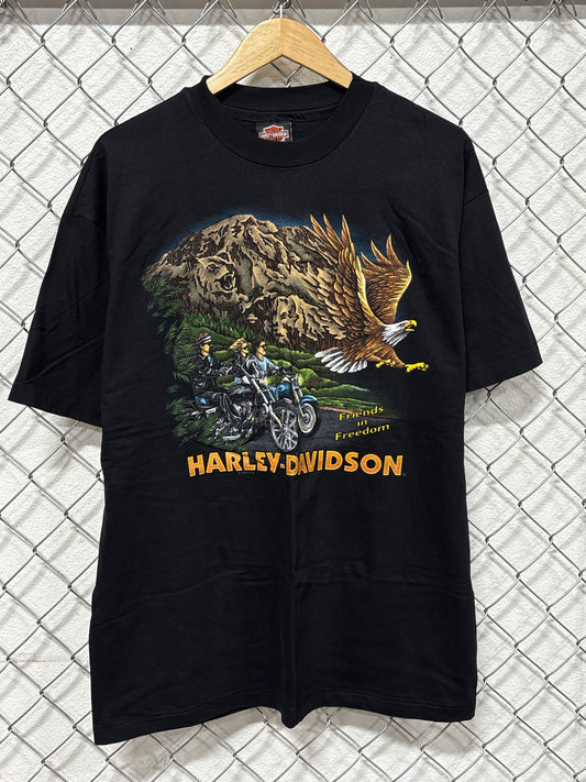 Vintage 1995 Harley Davidson Friends in Freedom Biker Graphic Tee Size XL