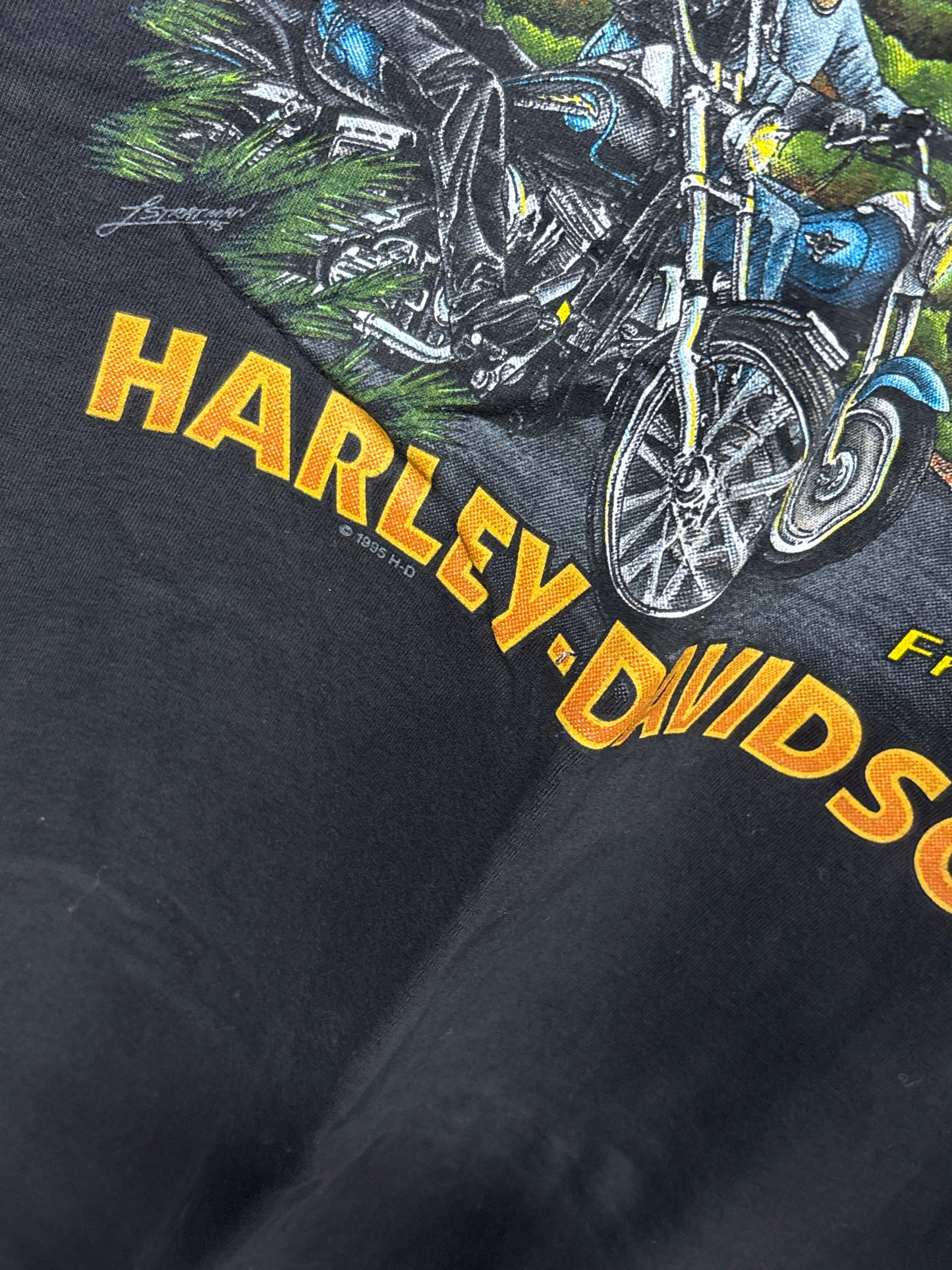 Vintage 1995 Harley Davidson Friends in Freedom Biker Graphic Tee Size XL