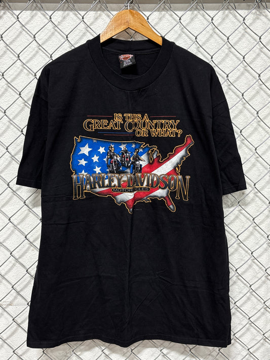 Vintage 90's Harley Davidson Is This A Great Country Or What Tee Size XL