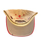 Vintage 90's San Francisco 49ers Champion Snapback Hat