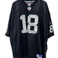 Vintage Y2K Reebok Oakland Raiders Randy Moss #18 Jersey Size XXL