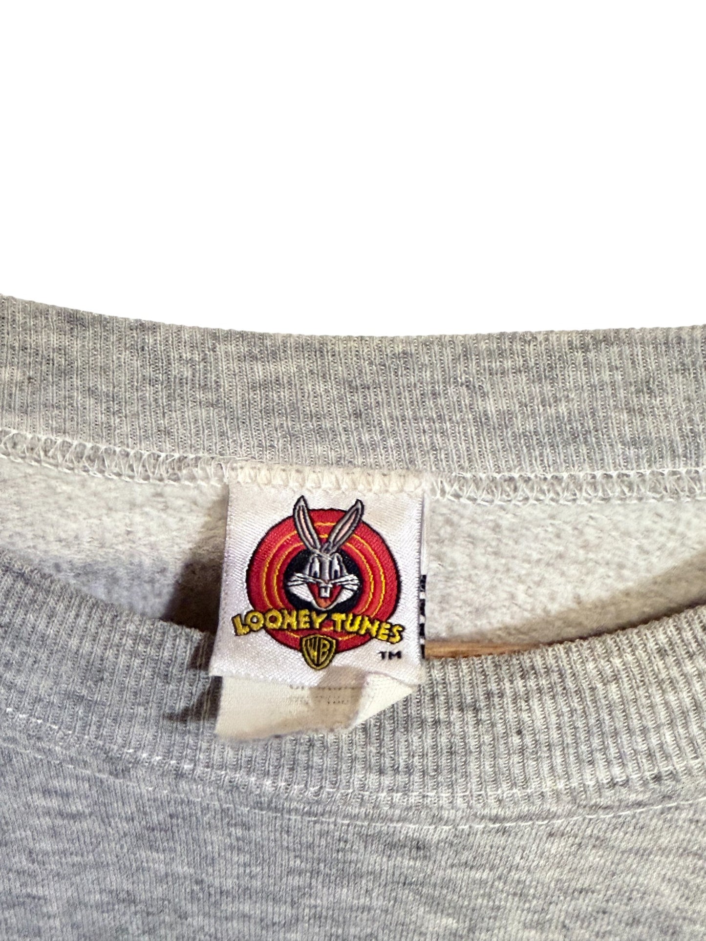 Vintage 90's Looney Tunes Tweety Bird Absolutely Not Sweater Size Large