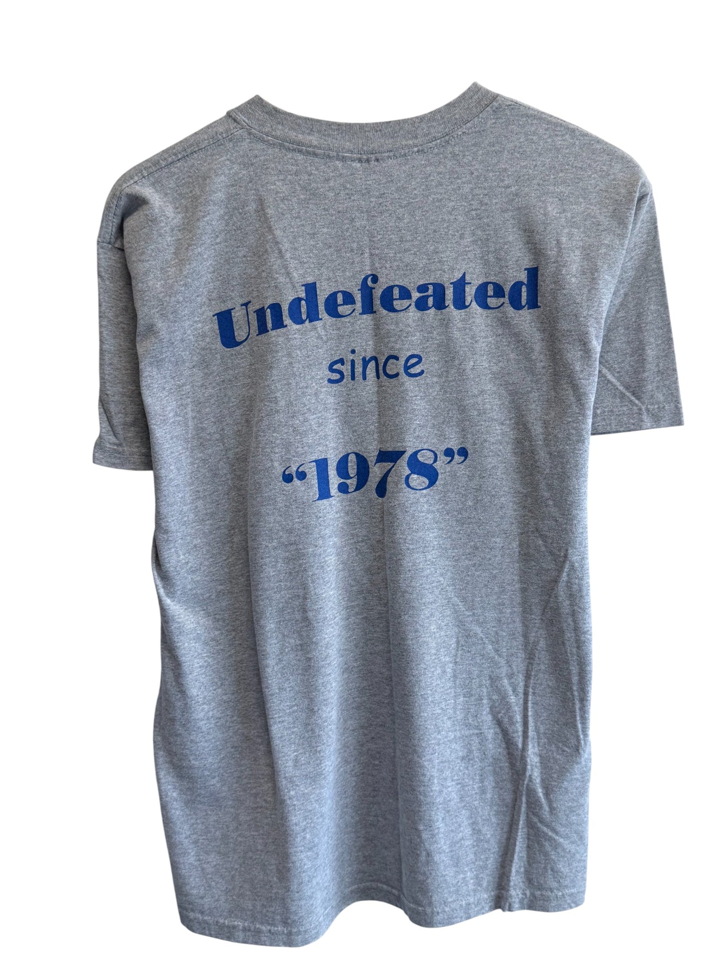 Vintage Montana State Yellowjackets Football Graphic Tee Size Large