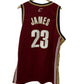 Vintage Y2K Nike Cleveland Cavaliers Lebron James #23 Jersey Size XXL