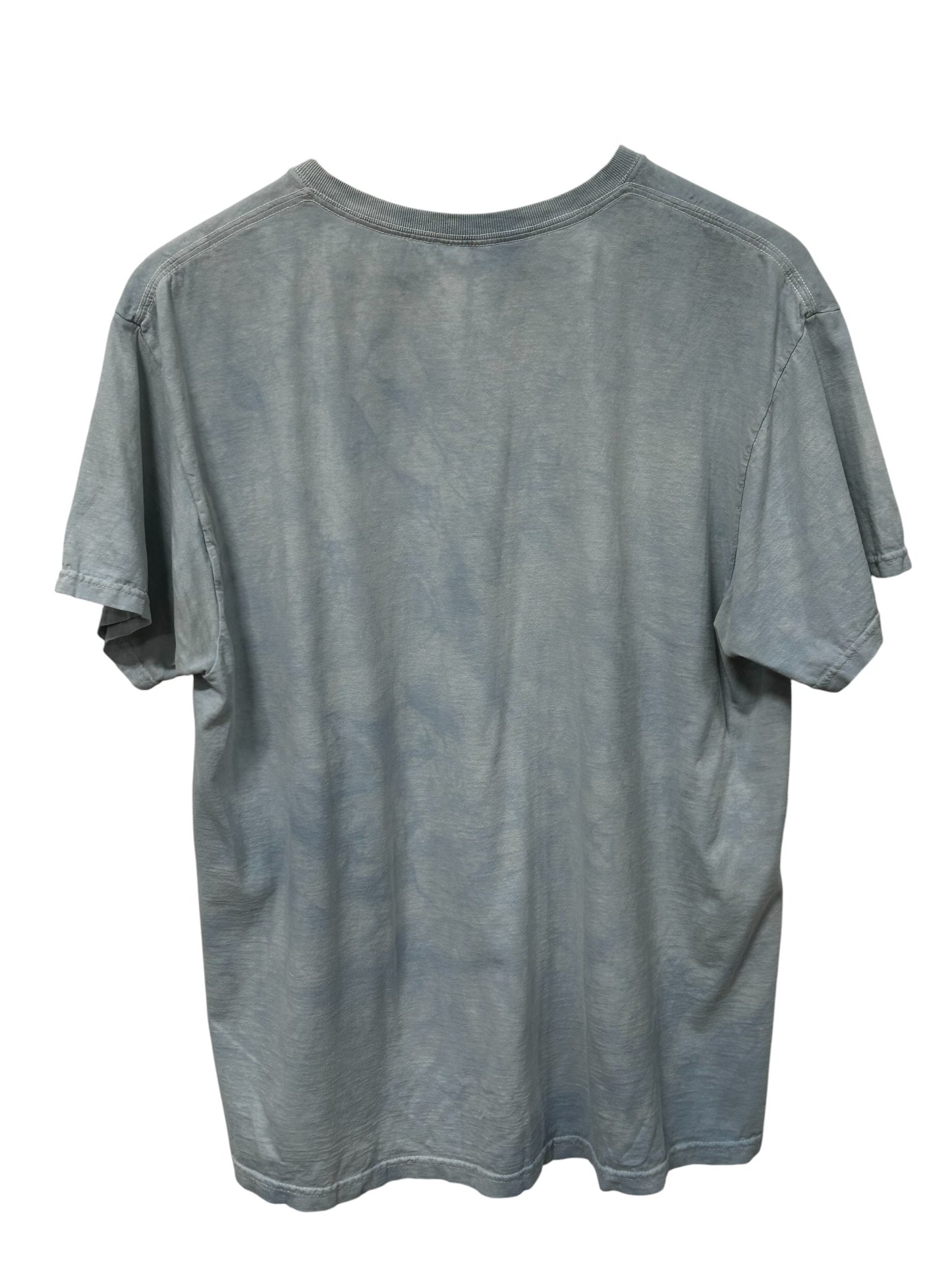 Vintage Y2K Siberian Tiger Big Print Nature Graphic Tee Size Large