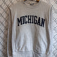 Champion Reverse Weave Michigan Spell Out Grey Sweater Size Small