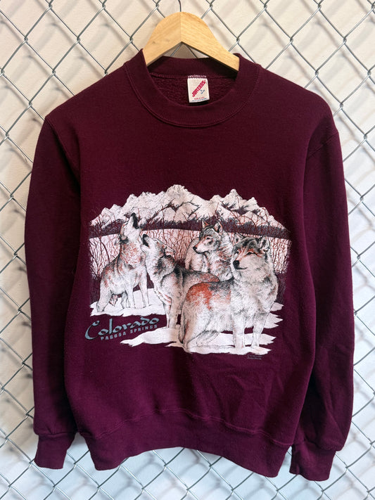 Vintage 90's Colorado Wolf Pack Nature Graphic Sweater Size Small