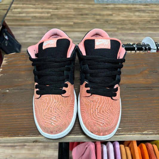 Nike SB Dunk Low 'Fish Ladder' Size 9.5