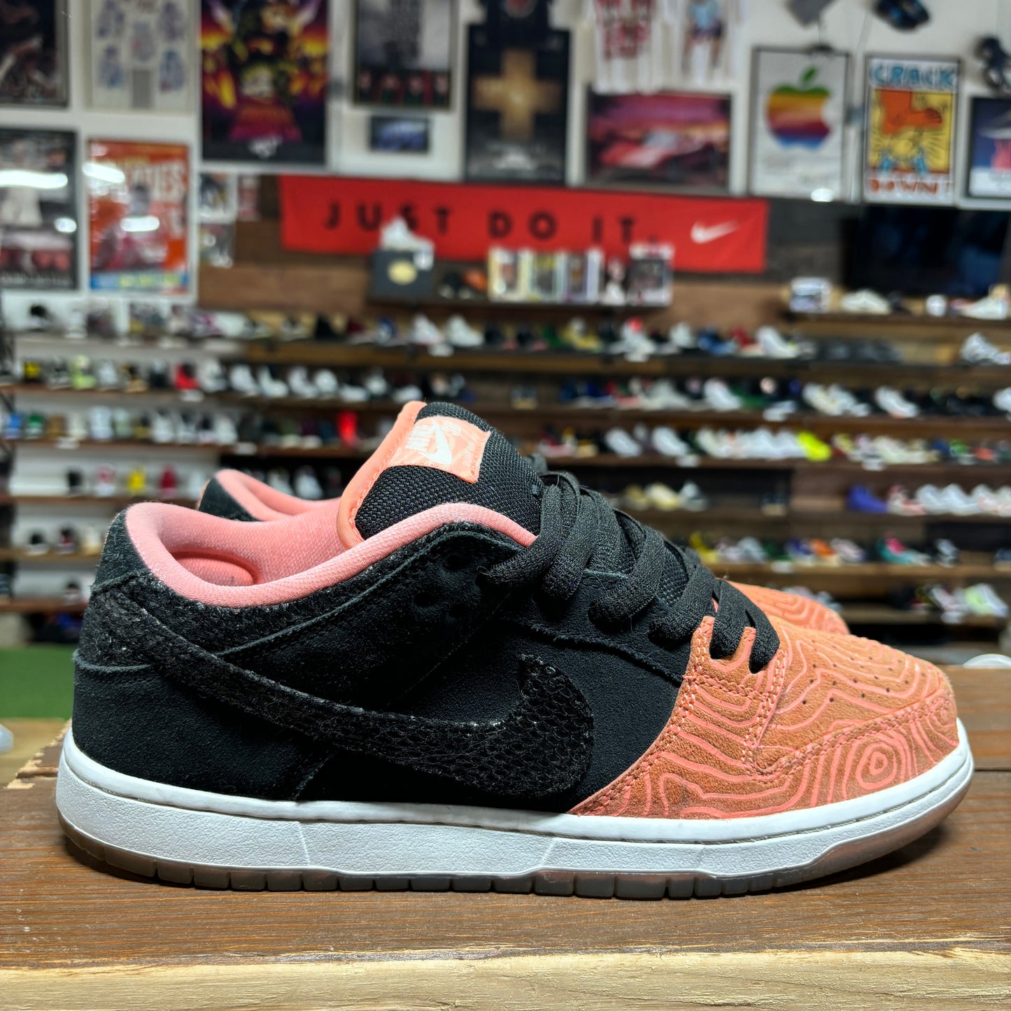 Nike SB Dunk Low 'Fish Ladder' Size 9.5